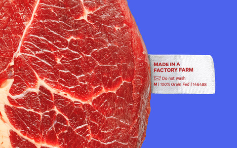 Why's meat so cheap, ya'll?