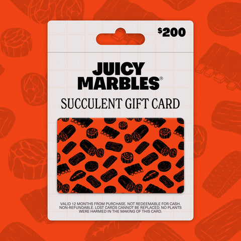 Succulent Gift Card