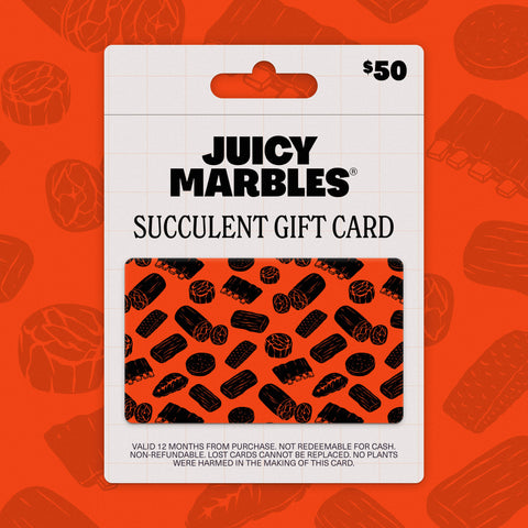 Succulent Gift Card