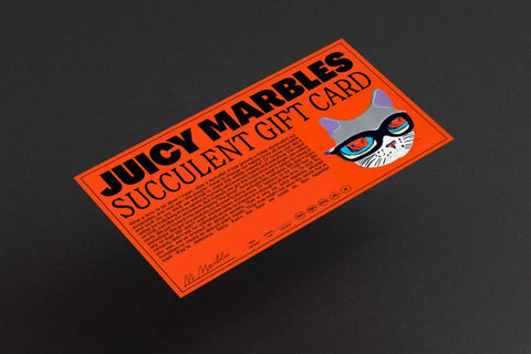 Juicy Marbles Succulent Gift Card - plant-based whole-cut product photo